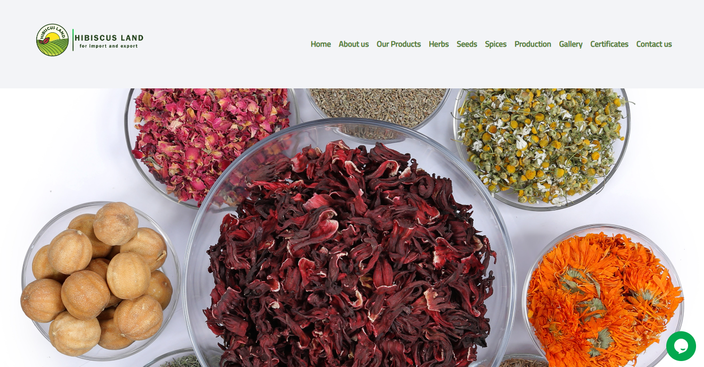 Website 1